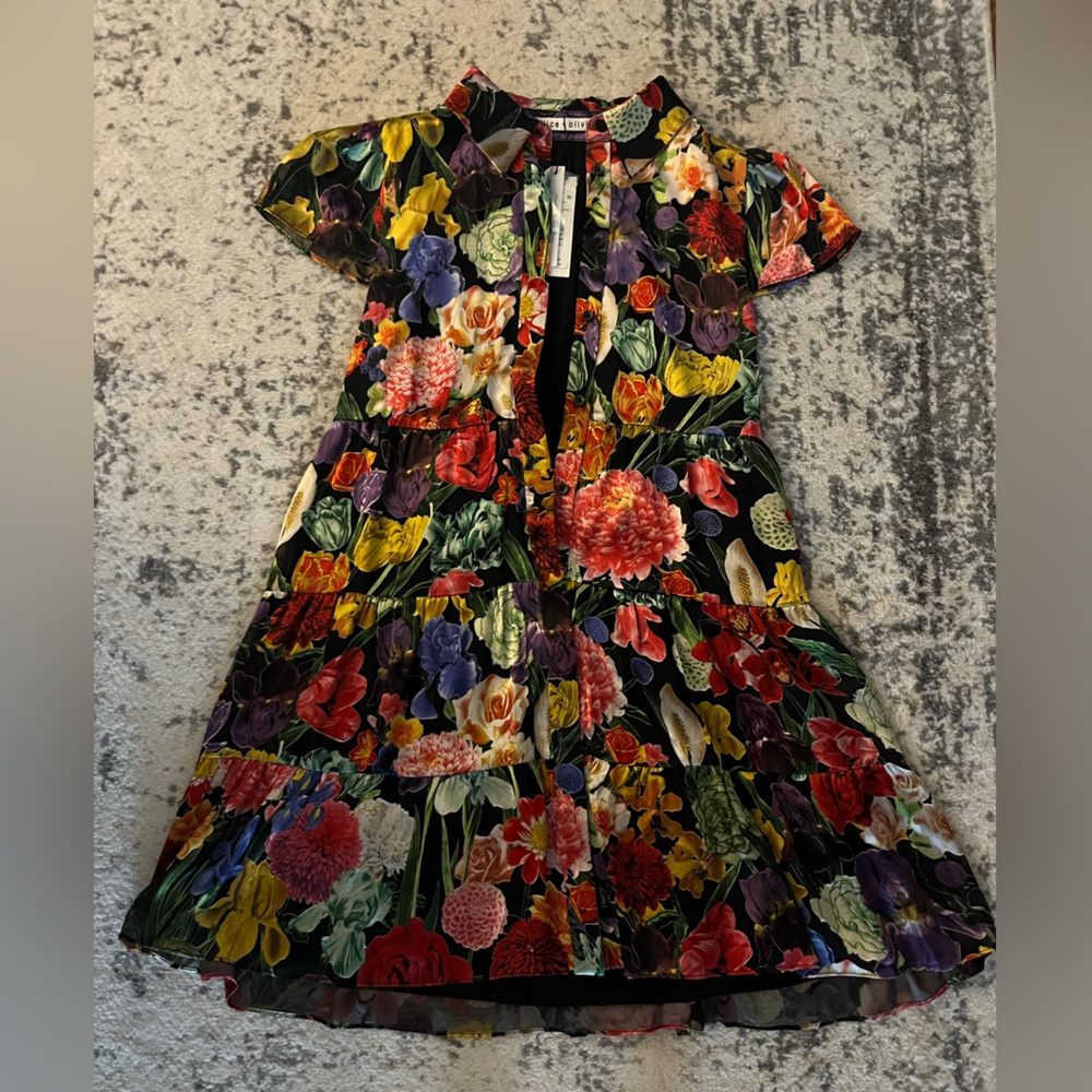 Alice + Olivia Multicolor Floral Dress
